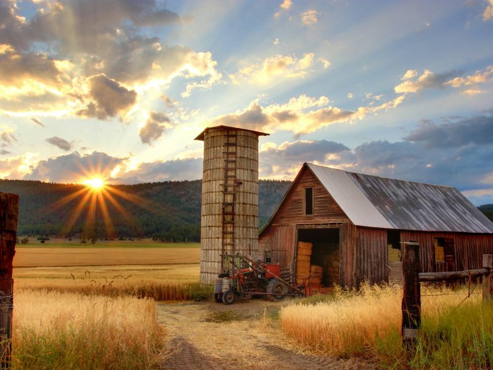 Land and Plot Solutions